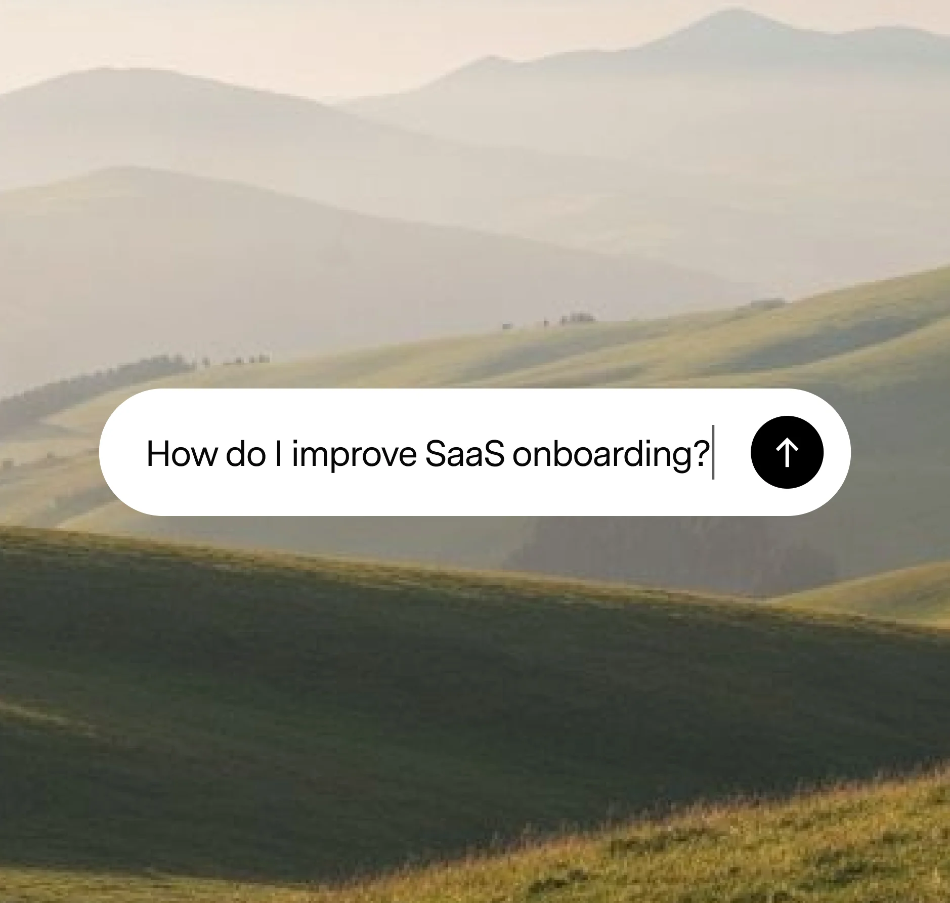 Know exactly what questions to answer